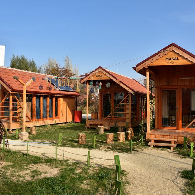 Yeryüzü Ekoloji Okulu