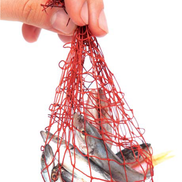 Yavru Balık Avının Önlenmesi Kampanyası