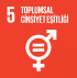 5. Toplumsal Cinsiyet Eşitliği