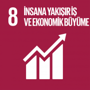 8. İnsana Yakışır İş ve Ekonomik Büyüme