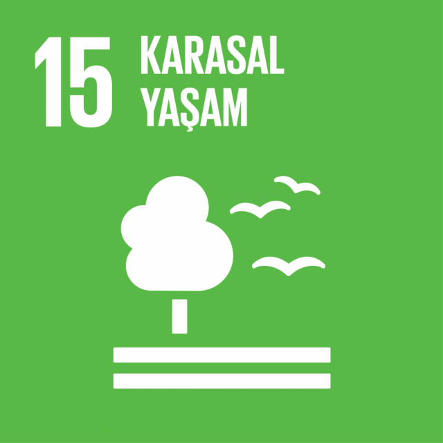 15. Karasal Yaşam