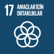 17. Amaçlar İçin Ortaklıklar