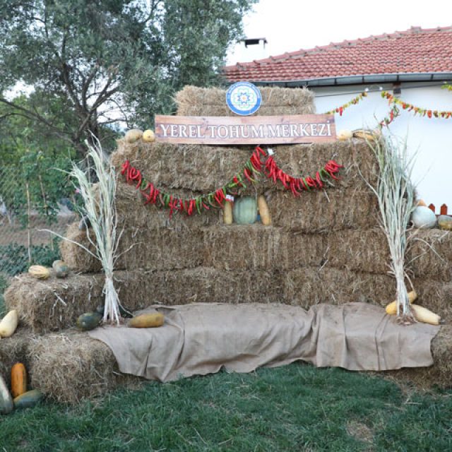 Yerel Tohum Merkezi