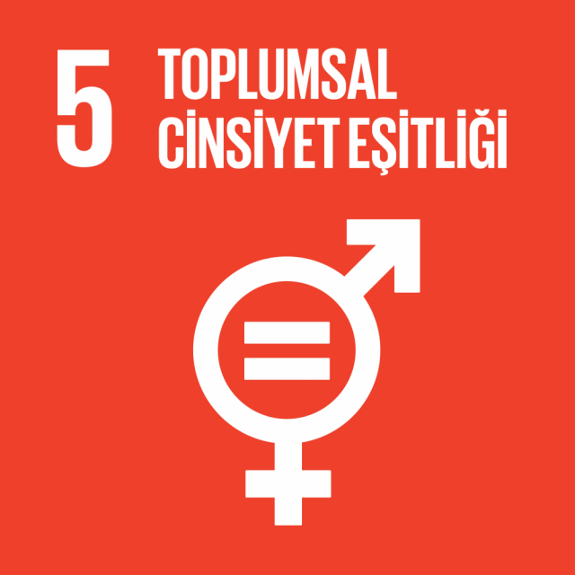 5. Toplumsal Cinsiyet Eşitliği