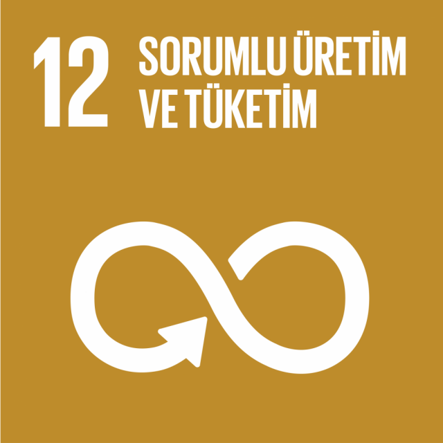 12. Sorumlu Üretim ve Tüketim