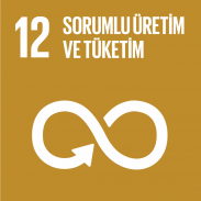 12. Sorumlu Üretim ve Tüketim