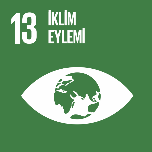13. İklim Eylemi