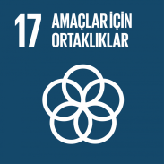 17. Amaçlar İçin Ortaklıklar