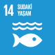 14. Sudaki Yaşam