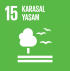 15. Karasal Yaşam