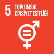 5. Toplumsal Cinsiyet Eşitliği