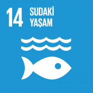 14. Sudaki Yaşam